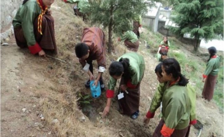 bhutan tree plantation marathipizza 00