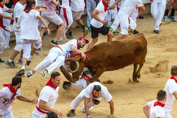 bull-running-festival-marathipizza01
