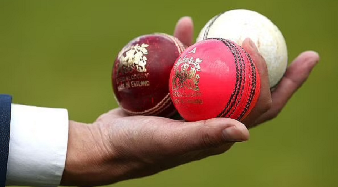 cricket balls im