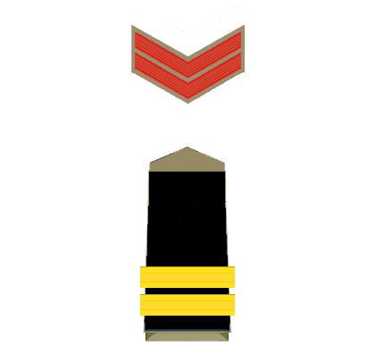 police-insignia-maratipizza20