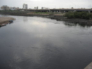 mahim-creek-marathipizza