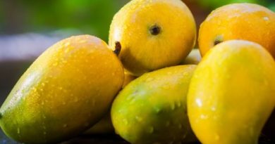 mango-inmarathi
