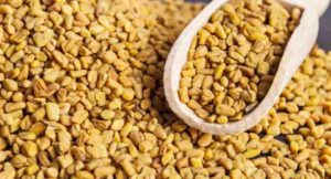 Fenugreek-Seeds-inmarathi01