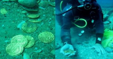 Golden Coins Found.Inmarathi00