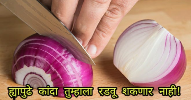 onion inmarathi