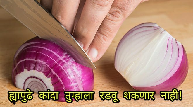 onion inmarathi