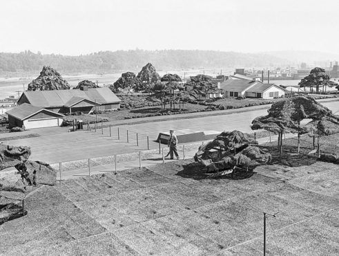 boeing-fake-rooftop-town-inmarathi03