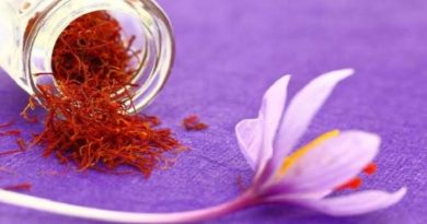 Saffron-inmarathi01