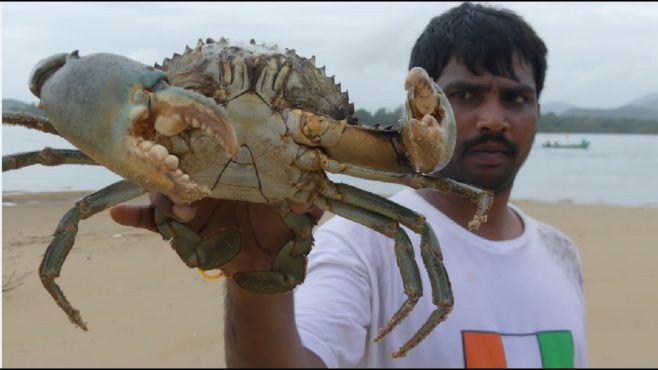 crab inmarathi