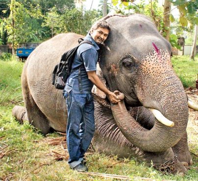 anand-shinde-elephant inmarathi