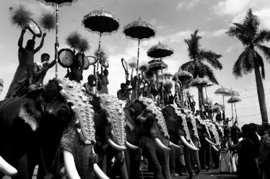 anand shinde elephant whisperer 3 InMarathi