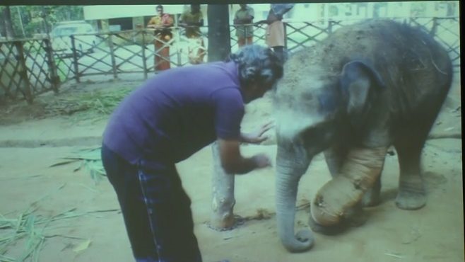 anand shinde elephant whisperer 7 InMarathi