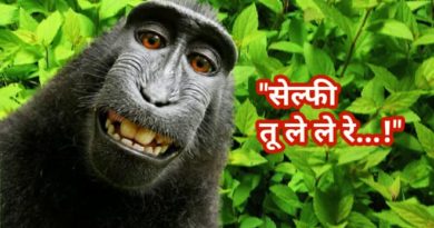 monkey-selfie-featured-inmarathi