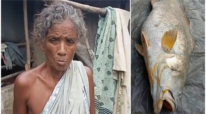 granny inmarathi