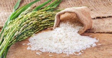 rice inmarathi