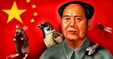 Mao sparrow killing final im